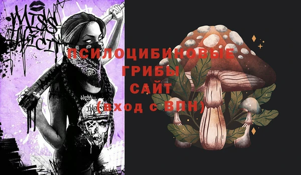 спайс Карталы