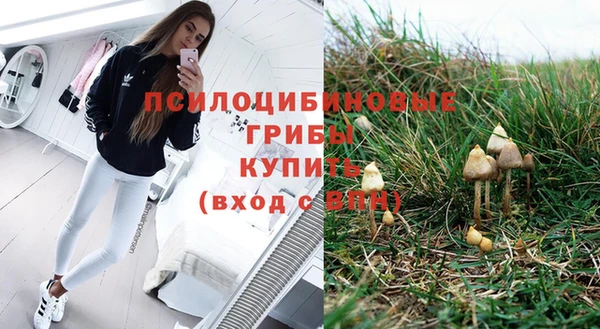 спайс Карталы